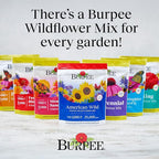 Burpee American Wild Wildflower Seeds | 25,000 Bulk Seeds, Multi, 1 Bag | 13 Varieties of Non-GMO Flower Seeds | Covers 1,000 Sq. Ft. | Grown in the USA