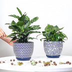 Selamica Ceramica Plant Pots, 6.5 Inch Flower Pots Set of 2 with Drainage Holes & Saucer, Planters for Indoor Plants, Home Decor, Vintage Blue