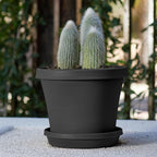 Bloem Terra 8" Diameter Round Black Resin Planter Pot with Drainage Holes for Indoor and Outdoor Gardening
