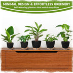Self Watering Pots for Indoor Plants (5/5.5/6/6.5/8 Inch), Terra Cotta Planters with Water Level Indicator & Drainage,Wicking Pots for Monstera, Herbs & Snake Plant (Black, 5/5.5/6/6.5/8 Inch)