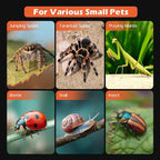 AZV Large Jumping Spider Enclosure Kit,Escape Proof Praying Mantis Habitat,Magnetic Door Arboreal Tarantula Spider Box,Complete Transparent Acrylic Beetle Terrarium,Insect Cage Bug Starter Container