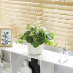 365 Blooming Decor Artificial Pilea Plant – Luxury Potted Money Plant in White Textured Pot with Real Pebbles, Premium Soft Plastic, Pet-Friendly, Realistic Look and Touch, No Assembly