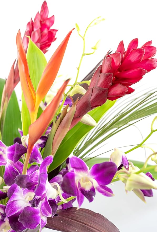 Fresh Orchids and Tropical Flower Bouquet, Purple Orchids, Red Ginger, Heliconia, Mixed Foliage, Hawaiian - PRIME QUALITY - Perfect for Birthdays, Valentine's Day, Mother's Day, Anniversaries, etc.