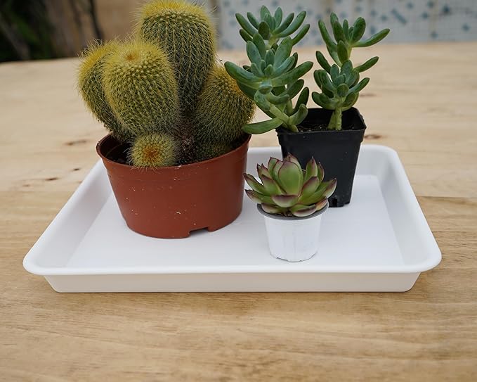 VUWEZ 4 Pack Plant Growing Nursery 1020 Trays, Plant Saucer Tray, Heavy Sturdy Seed Starting Trays, Plant Starter Trays for Indoors No Holes, Seed Starter Growing Tray (22"x11.2", Creamy White)