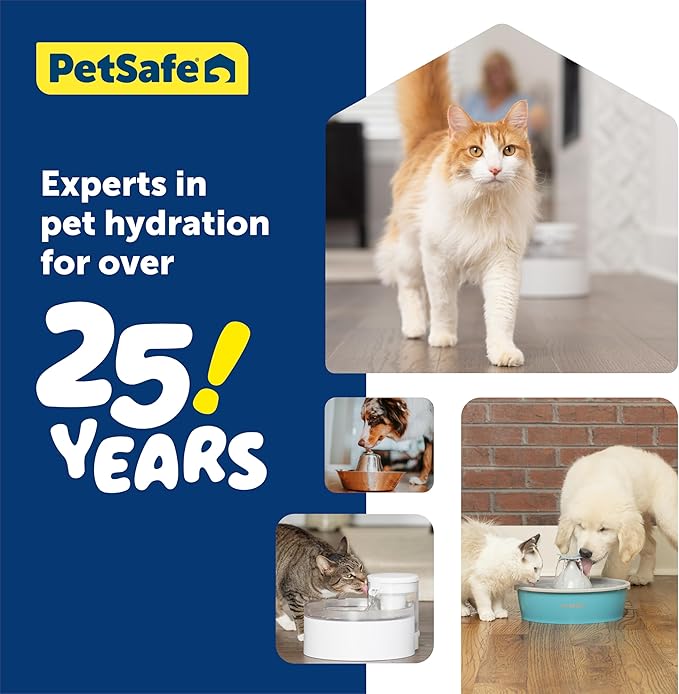 PetSafe Outlast Pumpless Cat Water Fountain 60 oz/1.7L Indoor Water Dispenser for Cats, Dishwasher Safe, Easy Assembly and Cleaning, Water Filter Included