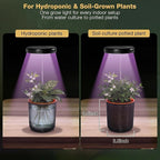 Self-Watering Planter with Grow Light — Cute Desk Plant Pot for Office, Bedroom & Window — No Green Thumb Needed, 2-in-1 Wall + Desktop, USB Powered (5W LED, White)