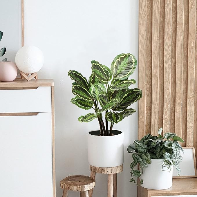 Briful 24.8" Artificial Calathea Medallion Plant Fake Plants Home Décor Tropical Faux Plant in Pot for Home Garden Office Decoration