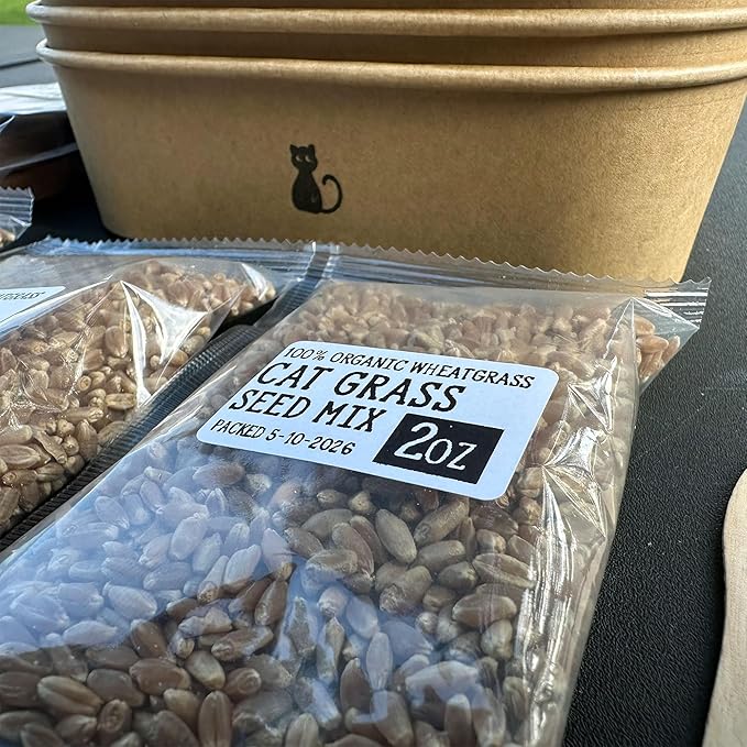Cat Grass Grow Kit — 4-Batch Indoor Growing Set with Containers, Soil Disks & Seeds | Supports Digestion & Hairball Control | Ready to Grow, No Mess
