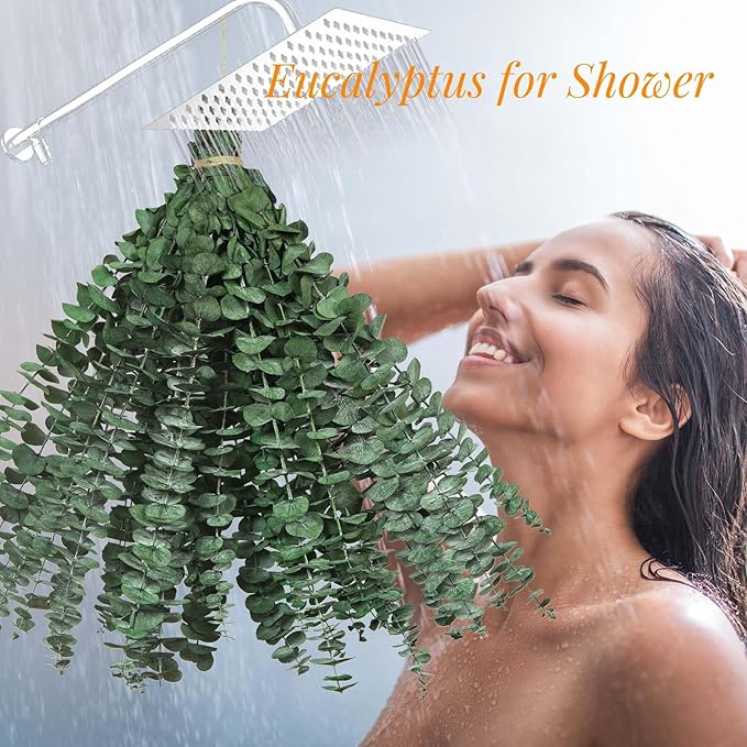 Tavkite 16 Pcs Dried Eucalyptus Stems, 17'' Natural Fresh Eucalyptus Leaves Branches Hanging for Shower, Preserved Real Plant Live Greenery for Home SPA Wall Bathroom Wedding Party Vase Decor