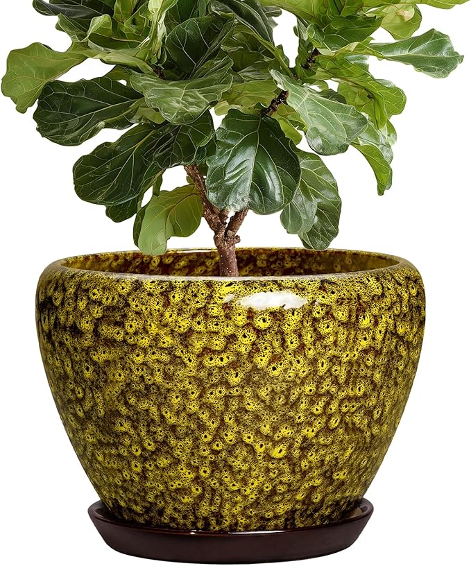 10 Inch Ceramic Pots for Plants - Indoor Plant Pots with Drainage Hole and Saucer, Round Planters for Outdoor Plants, Modern Large Planter, Garden Decor, Gifts for Gardeners, Yellow Leopard