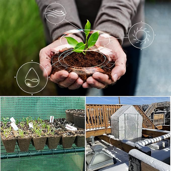 Mini Greenhouse,Greenhouses for Outdoors,Portable Walk in Green House for Garden Plants that Need Frost Protection and Away from Pests, Animals(56"x30"x76")-White