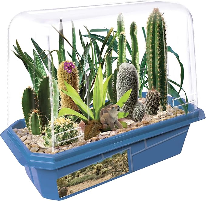 Toys By Nature Miniature Worlds Desert Oasis Succulent Terrarium Starter Kit - Complete Supplies for Fast Growth Rate! Fun & Easy Setup for Indoor Miniature Garden (Desert Plant Collection)