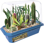 Toys By Nature Miniature Worlds Desert Oasis Succulent Terrarium Starter Kit - Complete Supplies for Fast Growth Rate! Fun & Easy Setup for Indoor Miniature Garden (Desert Plant Collection)