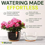 Blumat Classic Self-Watering Stakes - Prevents Overwatering and Underwatering for Healthy Growth While You are Away - Ideal for Indoor Plant Watering, 3 Pack, w Adapter