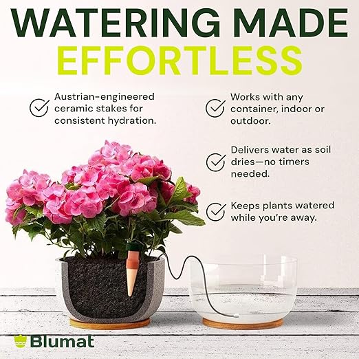 Blumat Classic Self-Watering Stakes - Prevents Overwatering and Underwatering for Healthy Growth While You are Away - Ideal for Indoor Plant Watering, 3 Pack, w Adapter