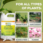 Neem Oil Spray for Plants with Peppermint Oil 128oz with Trigger Sprayer, Natural Plant Wash Made for Indoor and Outdoor Plants - 128oz Smart Grower