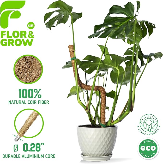 2 Pack 48" Sturdy Easy to Use Moss Pole Monstera Plant Support Stakes - Plant Stakes for Indoor Plants, Moss Poles for Climbing Plants, Tutores para Plantas Trepadoras Monstera Support Sticks