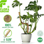 2 Pack 48" Sturdy Easy to Use Moss Pole Monstera Plant Support Stakes - Plant Stakes for Indoor Plants, Moss Poles for Climbing Plants, Tutores para Plantas Trepadoras Monstera Support Sticks