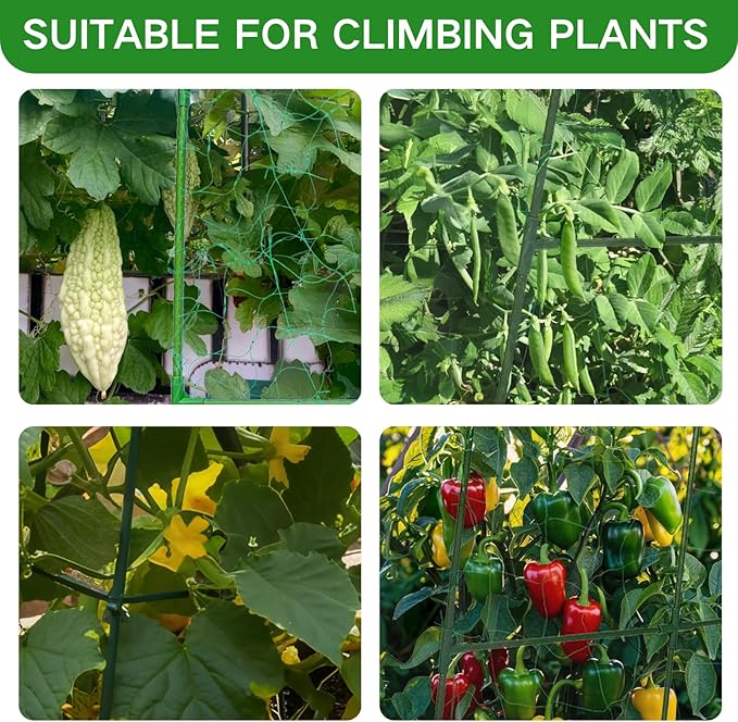 Cucumber Trellis for Raised Beds - Sturdy Arch Trellis for Peas, Beans & Climbing Plants | Outdoor Vegetable Support, Garden Trellis Kit (31" Lx30 Wx48 H)