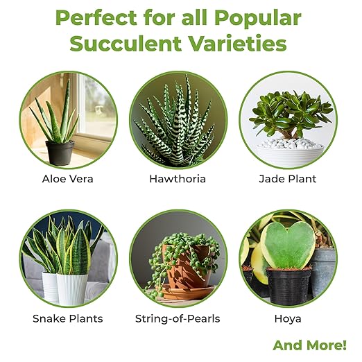 Succulent and Cactus Fertilizer in 5oz. Bag | Long Lasting Gentle Plant Food Formula for All Live Succulents, Cacti, and Other Desert Houseplants