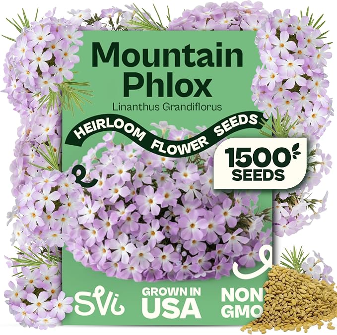 SVI 1500 Mountain Phlox Seeds (Linanthus grandiflorus) – Ground Cover Phlox Seed Packets Bulk, Sweet Fragrance Flower Garden – Heirloom Annual Purple Flower Seeds for Outdoor Garden, Containers