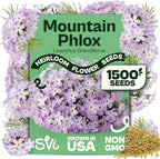 SVI 1500 Mountain Phlox Seeds (Linanthus grandiflorus) – Ground Cover Phlox Seed Packets Bulk, Sweet Fragrance Flower Garden – Heirloom Annual Purple Flower Seeds for Outdoor Garden, Containers