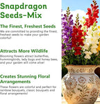 LUOJIBIE Snapdragon Seeds, 10,0000+ Tetra Mix Snapdragon Seeds for Planting (Antirrhinum Majus) Fairy Bouquet Blend, Non-GMO Heirloom Annual Flower Garden Seeds Bulk for Outdoor & Indoor