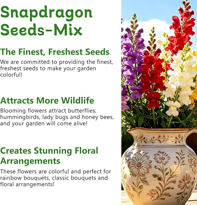 LUOJIBIE Snapdragon Seeds, 10,0000+ Tetra Mix Snapdragon Seeds for Planting (Antirrhinum Majus) Fairy Bouquet Blend, Non-GMO Heirloom Annual Flower Garden Seeds Bulk for Outdoor & Indoor