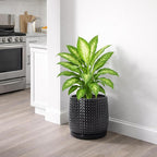 D'vine Dev 8 Inch Ceramic Beaded Stoneware Planter Pot - Flower Pot with Drainage Holes and Saucers for Indoor Succulent Plants or Flowers, Glossy Black, 27-C-Q-2