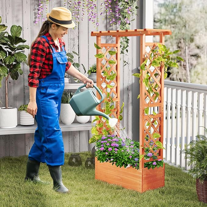 LDAILY Raised Garden Bed with Trellis, Above Ground Garden Bed with Hanging Roof, Side Trellis, & Drainage Holes, Planter Box for Outdoor Climbing Plants Vines Flowers (1, 31" L x 14" W x 60" H)