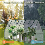 Mini Greenhouse, Portable 4x2x2ft Greenhouses for Outdoors Indoors Plants, Tabletop Small Green House with Roll-up Zipper Windows, Thickened PVC Cover for Outside