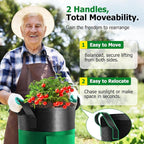 6 Pack Potato Grow Bags with Flap, 10 Gallon Grow Bags for Growing Potatoes, Colorful Durable Fabric Garden Planter Pots with Harvest Window for Tomatoes Vegetables Fruit Flowers Herbs