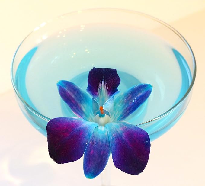 Miami Fresh Orchid Loose Bloom PERISHABLE flowers OrchidClub USA Sunne Tropical DIY lei, food & drink decoration (100 BLUE)