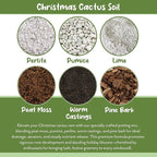 Soil Sunrise Christmas Cactus Potting Soil Mix (4 Quarts) Custom Blend for Xmas, Easter, and Thanksgiving Cactus Tropical Indoor Houseplants