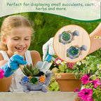 Turtle Succulent Planter, Resin Material, Indoor/Outdoor Use, Cute Decor, 5.9" x 3.94" x 3.15"