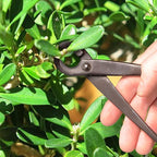 BambooMN Bonsai Basics Set - 8" Concave Cutter, 7" Heavy Duty Shear - 10 Sets