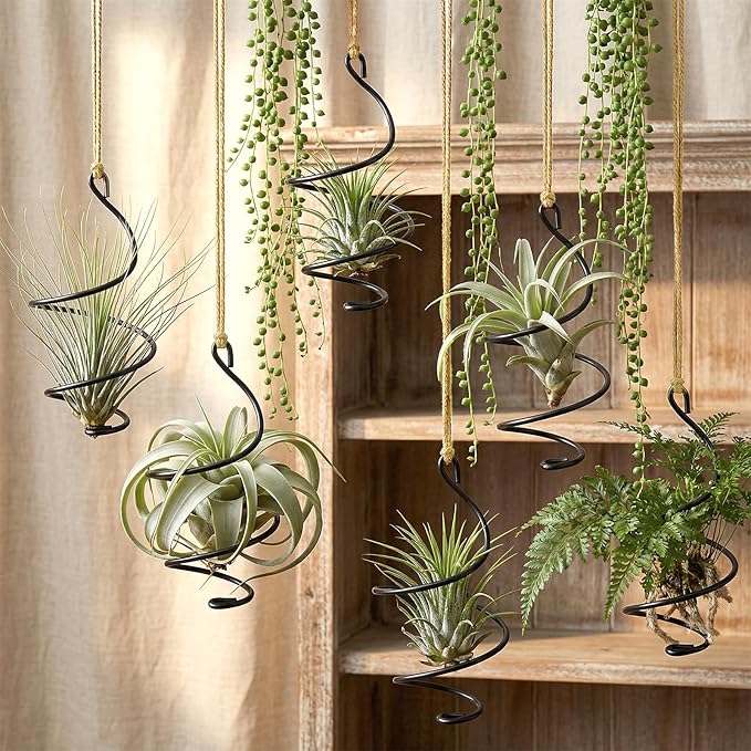 6 Pcs Hanging Air Plant Holder with Ropes Soilless Hanging Plant Holder Modern Plant Stand Display Container Geometric Plant Charms for Tillandsia Succulent Office Home Wall Decor Gifts