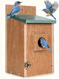 Gtongoko Recycled Plastic Bird Houses for Outside Clearance 1-1/2" Entrance Hole Blue Birdhouses for Outdoors with Air Vents Green & Brown Nesting Box for Bluebird Swallows Finches Chickadee 1 Pack