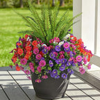 Hrobek Artificial Flowers for Outdoors Faux Plants Outside Indoor,UV Resistant Silk Fake Morning Glory Tall Ferns for Home Patio Garden Back Yard Front Porch Decor (13 Bunches,5 Multi Colors)