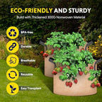 iPower Plant Grow Bag 3 Gallon 6-Pack Heavy Duty Fabric Pots, 300g Thick Nonwoven Fabric Containers Aeration with Nylon Handles, for Planting Vegetables, Fruits, Flowers,Tan 2024 Version