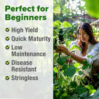 HOME GROWN Contender Bush Bean Seeds 56+ Heirloom Non-GMO, High Germination, Stringless Green Beans for Planting, Early Harvest, Emergency Food Supply, Fresh Eating & Canning (Phaseolus vulgaris)
