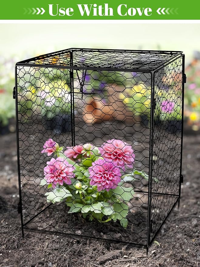 Kalolary 5 Packs Plant Protectors with Cover from Animals, 20''Large Square Wire Plant Cage Metal Garden Plant Protection Chicken Wire Cloche for Plant Flowers Vegetable (20'' x12.6''x 12'')