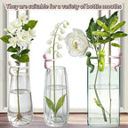Plant Propagation Buddy - Indoor Plant Support for Supporting Stems, Shoots & Cuttings - Ideal for Plant Propagation Stations & Indoor Gardens - Plant Cutting Holder Interesting Gifts（Four Colors）