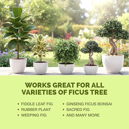 Ficus Tree Fertilizer – Liquid Plant Food for Lush Foliage, Stronger Roots & Healthy New Growth, 1 Gallon