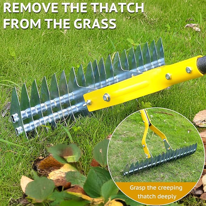 Thatch Rake, 15-Inch Steel Lawn Dethatcher with Handle, Heavy Duty Grass Cleaning Tool for Dead Grass and Soil Loosening, Versatile Yard and Garden Grooming (Black+Metallic Silver)
