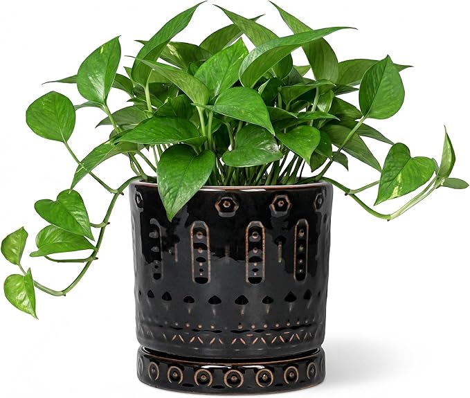 6 Inch Plant Pot, Ceramic Pots for Plants with Drainage Hole and Saucer, Round Planter for Indoor Outdoor Plants, Modern Decorative Flower Pots, Bedroom Decor, Gifts for Plant Lovers, Black