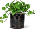 6 Inch Plant Pot, Ceramic Pots for Plants with Drainage Hole and Saucer, Round Planter for Indoor Outdoor Plants, Modern Decorative Flower Pots, Bedroom Decor, Gifts for Plant Lovers, Black