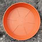 LWALRS Plant Saucer 14 Inch 2 Pack 6 8 10 12 14 16 18 20 25, Plastic Plant Trays for Pots，Extra-Deep Plant Water Dray Tray, Bird Bath Bowl, Heavy Flower Plant Saucers Indoors and Outdoor No Holes