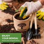 Bonsai Starter Kit for Adults – Complete Indoor Tree Growing Set with Jacaranda Seeds, Tools & Planter | DIY Gardening Hobby Kits for Plant Lovers, Unique Easter Gifts for Men & Women