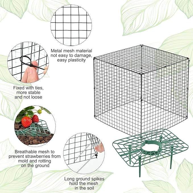 6 Set Upgraded Strawberry Protection Supports with Wire Plant Protectors from Animal Sturdy Metal Wire Plant Cages Mesh Plant Cover Strawberry Growing Racks Planting Stand for Garden,12 Inch Square